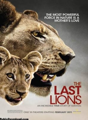 دانلود مستند آخرین شیرها The Last Lions 2011